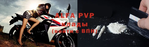 гидра Инсар