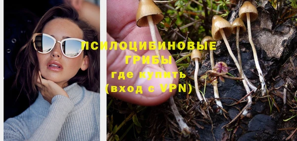 MDMA Premium VHQ Зеленокумск