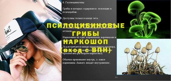 гидра Инсар