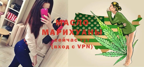 гидра Инсар