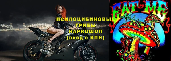 2c-b Инта