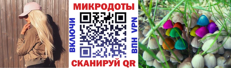 Купить закладки  Гусиноозёрск  Псилоцибиновые грибы Magic Shrooms 