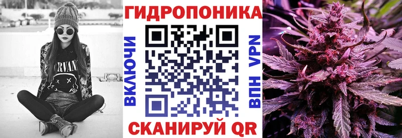 Канабис ГИДРОПОН  Купить где  Гусиноозёрск 